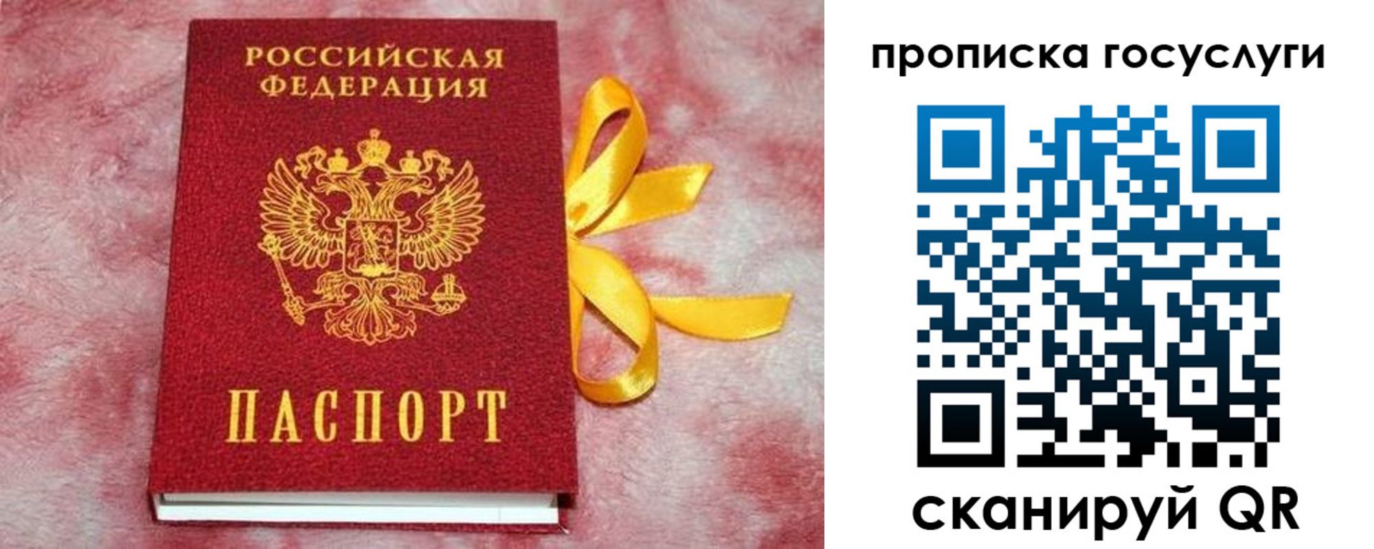 прописка законно в Райчихинске